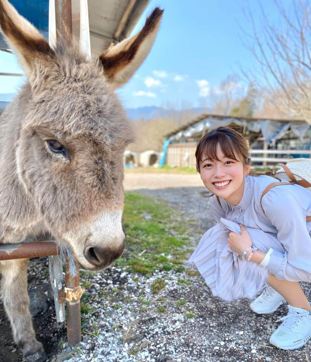 澤井志帆さんのインスタグラム写真 - (澤井志帆Instagram)「.﻿ 2021.5.8﻿ ﻿ 朝霧高原で出会ったロバ🐴💛﻿ カメラ目線頂きました👀﻿ ﻿ 餌やり体験もしたんですが、たくさん食べてくれて本当に可愛かった🥕🥳﻿ ﻿ ﻿ #朝霧高原﻿ #富士ミルクランド﻿ #過去pic ﻿ #DaiichiTV﻿ #アナウンサー」5月8日 9時05分 - shiho_sawai