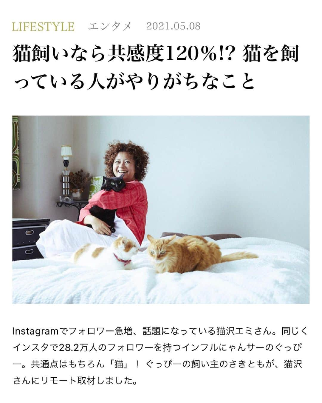 猫沢エミのインスタグラム