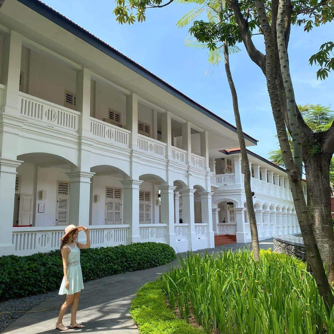 市原彩花さんのインスタグラム写真 - (市原彩花Instagram)「Capella hotel🌿  憧れのカペラホテル…✨ とっても優雅で素敵なホテル☺️ 森と海に囲まれて、大都会のシンガポールから抜け出したみたい🌿 一泊でもとってもリフレッシュできたよ☺️ またいつか泊まりたいな〜☺️  #sentosa#sentosaisland#セントーサ島#capellasingapore#カペラホテル#singapore#シンガポール#singapura#海外生活#海外旅行#シンガポール暮らし#シンガポール生活#シンガポール在住#シンガポール在住日本人#싱가포르#新加坡#pool#高級ホテル#リゾートホテル#シンガポールホテル#ステイケーション#staycationsingapore」5月8日 11時11分 - ayaka_ichihara