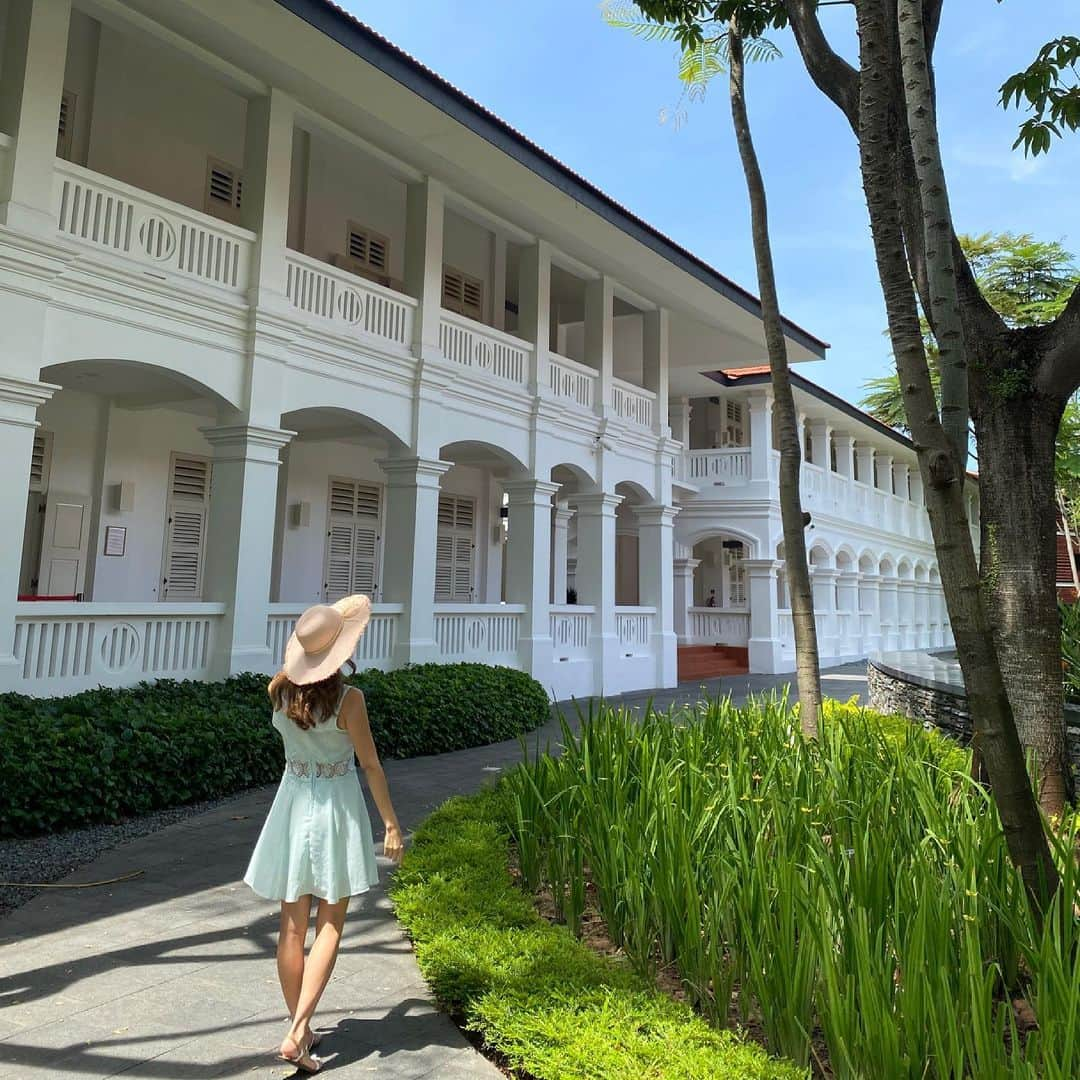 市原彩花さんのインスタグラム写真 - (市原彩花Instagram)「Capella hotel🌿  憧れのカペラホテル…✨ とっても優雅で素敵なホテル☺️ 森と海に囲まれて、大都会のシンガポールから抜け出したみたい🌿 一泊でもとってもリフレッシュできたよ☺️ またいつか泊まりたいな〜☺️  #sentosa#sentosaisland#セントーサ島#capellasingapore#カペラホテル#singapore#シンガポール#singapura#海外生活#海外旅行#シンガポール暮らし#シンガポール生活#シンガポール在住#シンガポール在住日本人#싱가포르#新加坡#pool#高級ホテル#リゾートホテル#シンガポールホテル#ステイケーション#staycationsingapore」5月8日 11時11分 - ayaka_ichihara