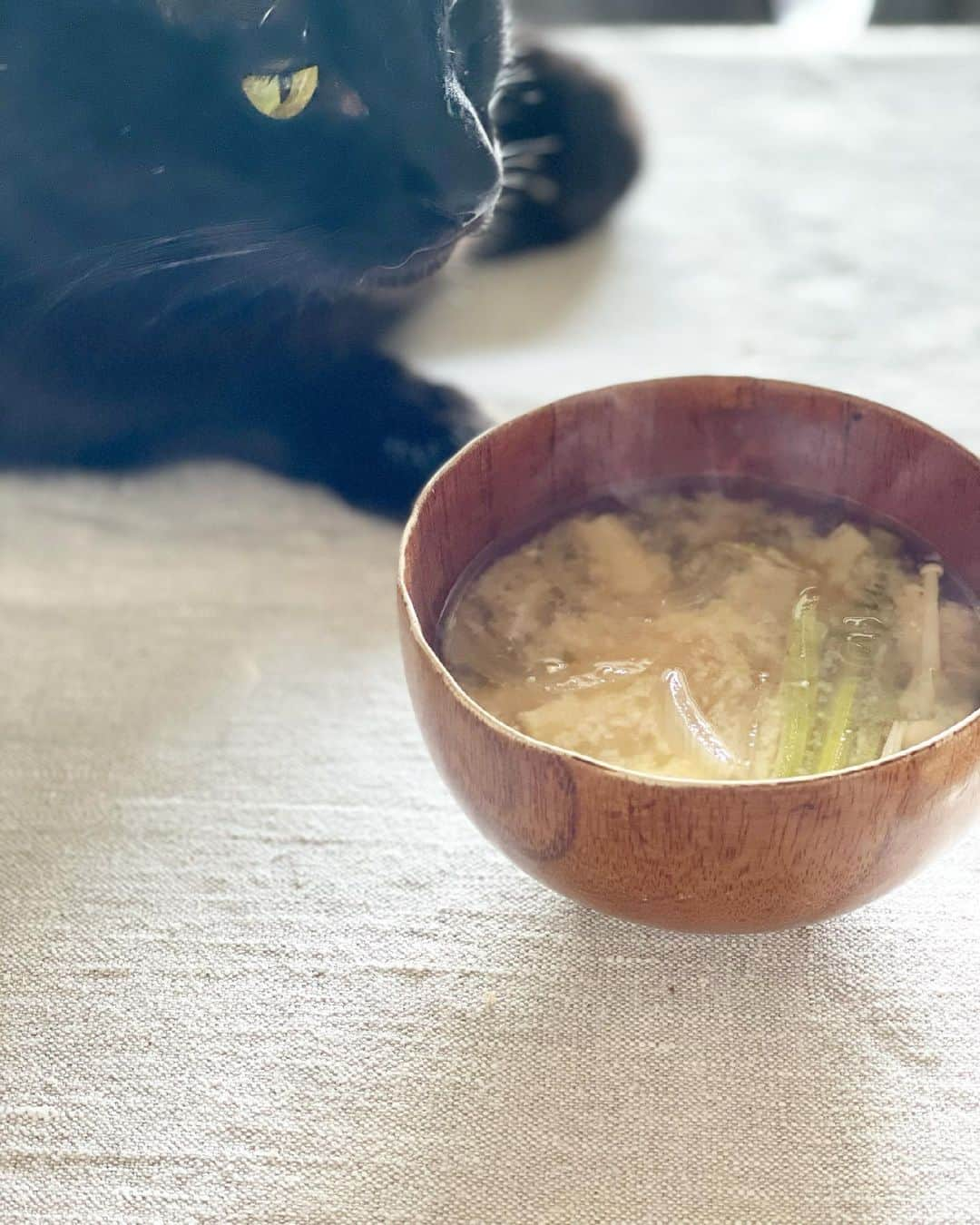 猫沢エミさんのインスタグラム写真 - (猫沢エミInstagram)「ベトナム揚げは危険な食べ物だ。  あとからあとから手が伸びて、箸が止まらない。そんなとき「ここらでやめておけば、明日の朝はバインミーサンドが作れるよ♡」と自分に囁く。そうか…それも美味しそうだなと箸が止まるっていう😂  食べすぎ抑止力のバインミーサンド。  食い意地を制するものは、やはり食い意地(*✧×✧*)  ベトナム揚げを軽くグリルで炙りなおす。千切りにしたにんじん、セロリ、パクチーをニョクマムソース（ナンプラー、レモン汁、砂糖少し）でさっとあえて、両面にマヨを塗って、白胡椒を少し振ったパンに挟んで出来あがり。  今日は長丁場だから、味噌粕汁もつけてしっかり朝昼兼用。ピガ兄が「いいお出汁の香りですね」って。  ビシッと頑張るぞ。  #猫沢飯　#ねこしき　#ピガ兄　#食い意地vs食い意地 #多めに揚げといて炙りなおしてお弁当のおかずにもいいね♡」5月8日 11時39分 - necozawaemi