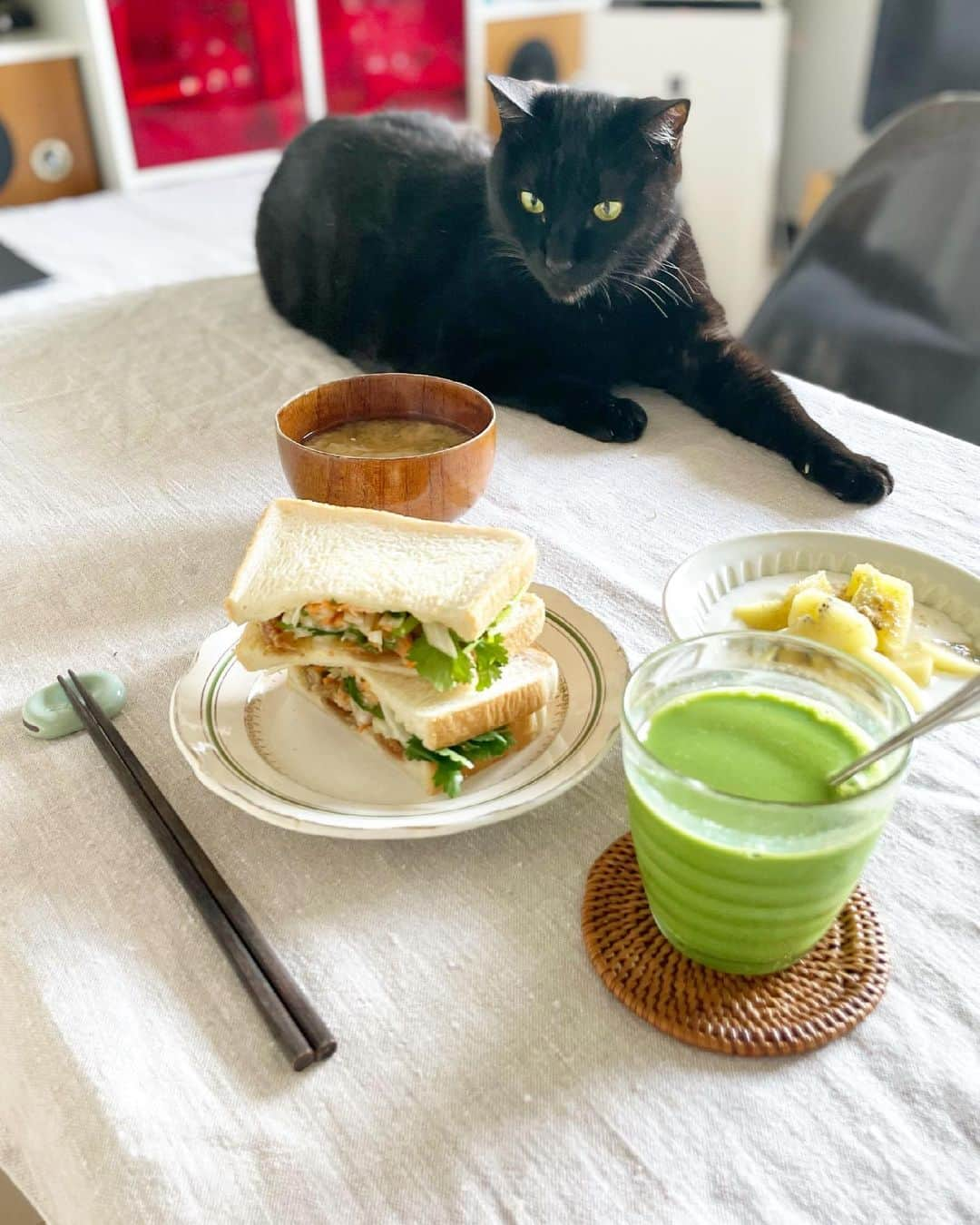 猫沢エミさんのインスタグラム写真 - (猫沢エミInstagram)「ベトナム揚げは危険な食べ物だ。  あとからあとから手が伸びて、箸が止まらない。そんなとき「ここらでやめておけば、明日の朝はバインミーサンドが作れるよ♡」と自分に囁く。そうか…それも美味しそうだなと箸が止まるっていう😂  食べすぎ抑止力のバインミーサンド。  食い意地を制するものは、やはり食い意地(*✧×✧*)  ベトナム揚げを軽くグリルで炙りなおす。千切りにしたにんじん、セロリ、パクチーをニョクマムソース（ナンプラー、レモン汁、砂糖少し）でさっとあえて、両面にマヨを塗って、白胡椒を少し振ったパンに挟んで出来あがり。  今日は長丁場だから、味噌粕汁もつけてしっかり朝昼兼用。ピガ兄が「いいお出汁の香りですね」って。  ビシッと頑張るぞ。  #猫沢飯　#ねこしき　#ピガ兄　#食い意地vs食い意地 #多めに揚げといて炙りなおしてお弁当のおかずにもいいね♡」5月8日 11時39分 - necozawaemi