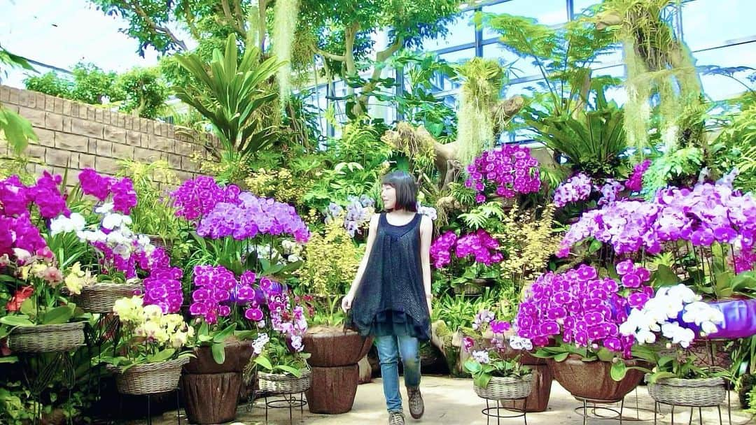 すずきあすかのインスタグラム：「お花に囲まれて幸せ💐✨  #沖縄 #沖縄旅行 #沖縄県 #熱帯ドリームセンター #花 #flowers #okinawajapan #japan #蘭 #胡蝶蘭 #あすにゃんコーデ #あすにゃん旅行」