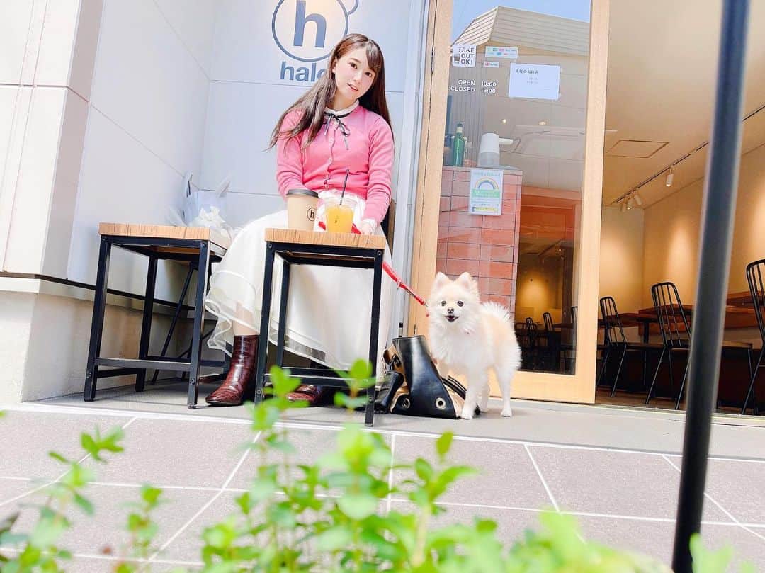初川みなみさんのインスタグラム写真 - (初川みなみInstagram)「この日はお天気良かったので、テラスでカフェしたよ☕️﻿ ﻿ #ポメラニアン#ポメ#犬のいる暮らし#ぽめすたぐらむ#いぬすたぐらむ﻿ #春#5月#桜#ピンク」5月8日 12時51分 - hatsukaw_aminami