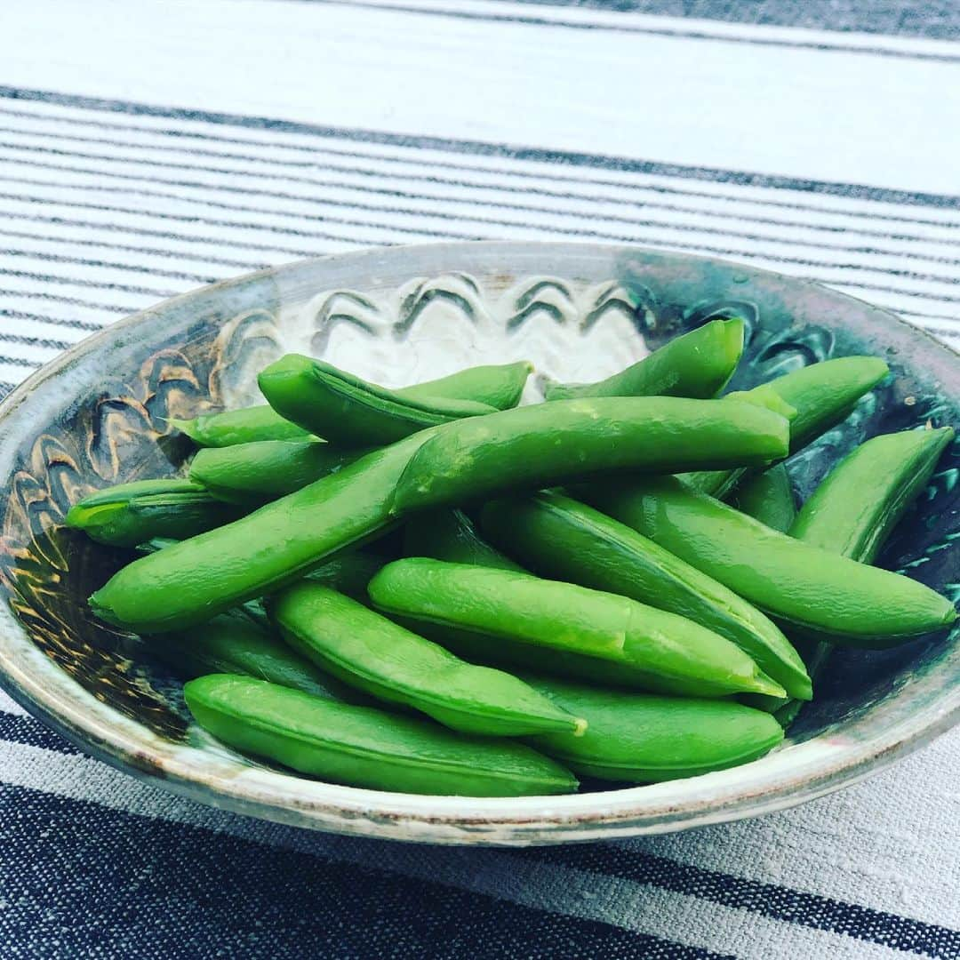 三浦瑠麗さんのインスタグラム写真 - (三浦瑠麗Instagram)「野菜が届いた。 採れたてのスナップエンドウ。 アイスノンを入れた保冷袋に大切に包んだ状態で、隅っこに入れておいてくれた。さっと塩水で湯がき、そのままいただく。 鮮度がすべて。この甘みはなんともいえないおいしさです。」5月8日 15時59分 - lullymiura