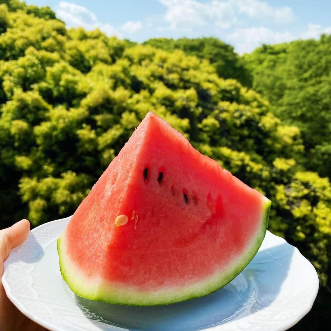 君島十和子のインスタグラム
