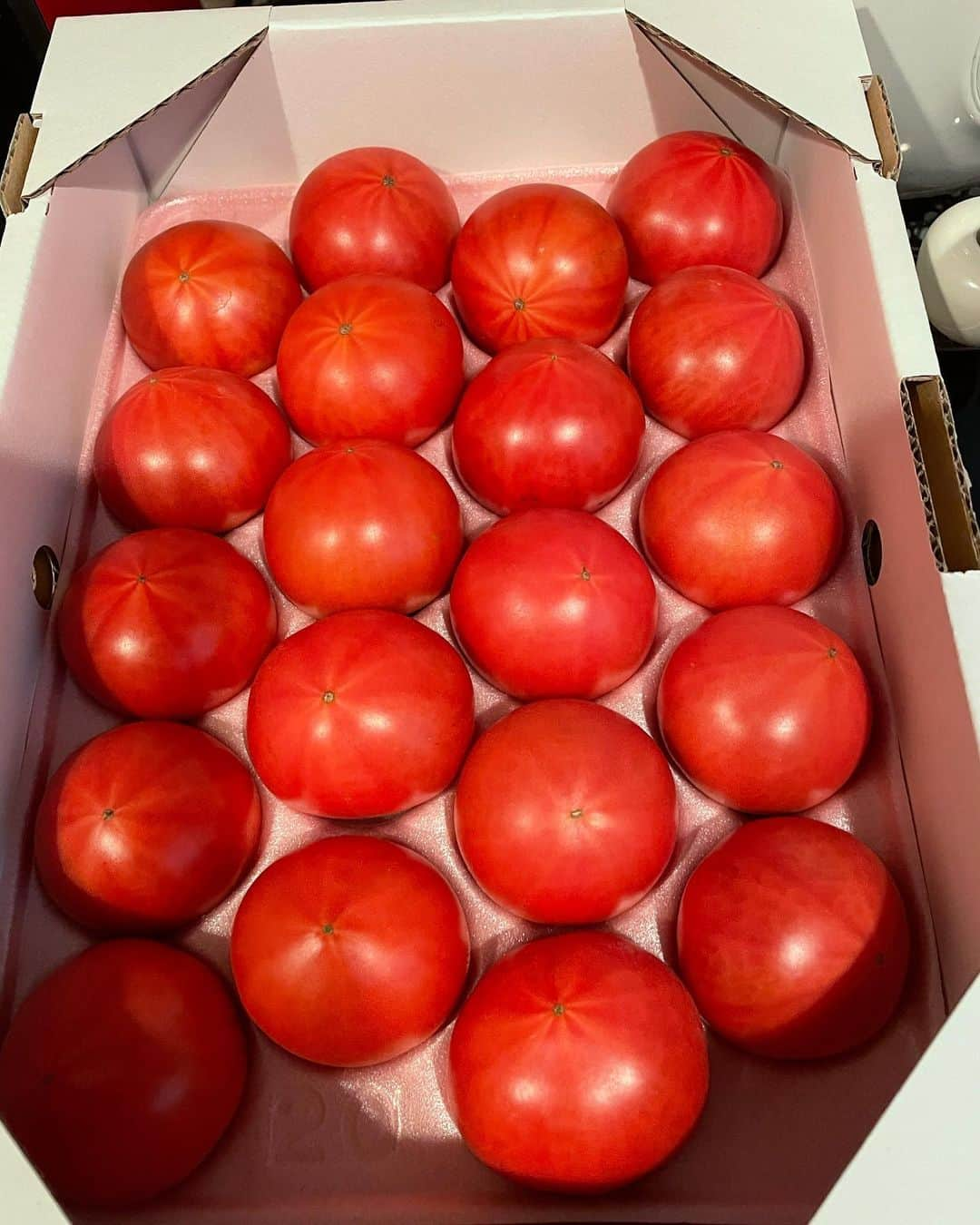 内山高志のインスタグラム：「高知産、フルーツトマト届いた🍅  美味い❗️  #フルーツトマト #実は #野菜ソムリエ #持ってます」