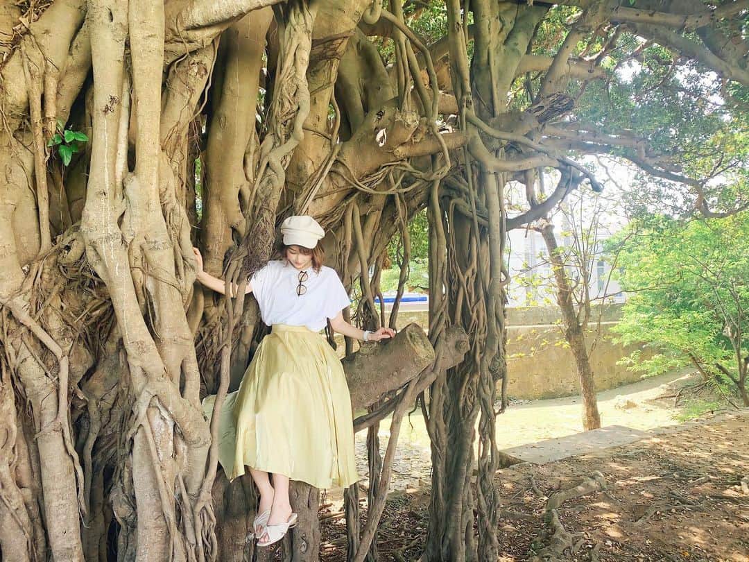 高辻千夏のインスタグラム：「ガジュマルの木🌳﻿ ﻿ ﻿ 沖縄では、キジムナーっていう精霊が宿る多幸の樹 ﻿ ﻿ って言い伝えがあるらしい🧚🏻✨﻿ ﻿ ﻿ ﻿ 写真では伝えきれないくらい、めちゃくちゃ大きかった…！﻿ ﻿ ﻿ ﻿ #過去pic #沖縄 #ガジュマル #ガジュマルの木 #沖縄女子旅 #沖縄観光 #那覇 #パワースポット」
