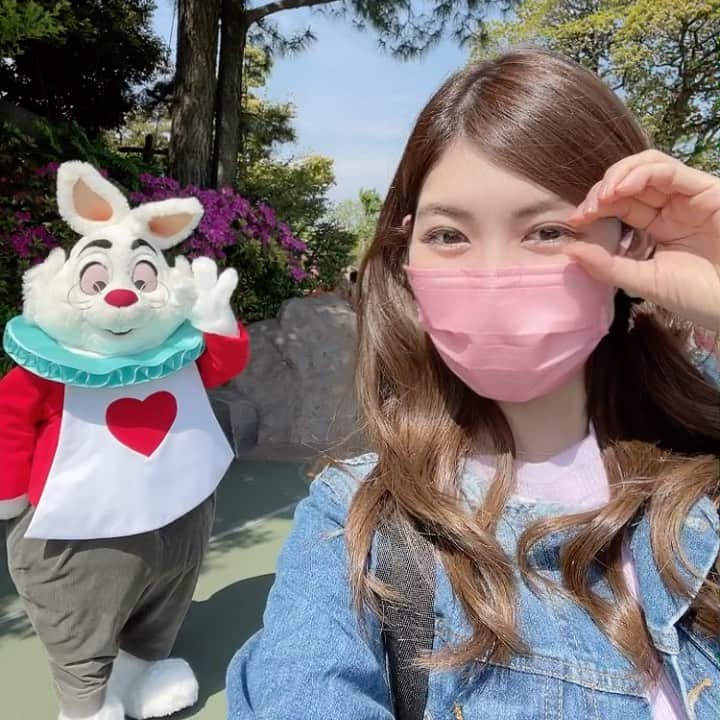 のインスタグラム：「⏰🐰🃏❤️﻿ ﻿ ﻿ おしりふりふりかわいい﻿ 不思議の国のアリスに登場する ﻿ 白うさぎさんに会ったよー🐰🥕﻿ ﻿ メガネくいっ！かわいい💓﻿ ﻿ ﻿ ﻿ （緊急事態宣言が出る前に行ってきました）﻿ ﻿ ﻿ #不思議の国のアリス #白うさぎ #橘ゆりか #キャラグリ #ディズニーランド #ディズニー好き #tdl #tdr #disneygram」