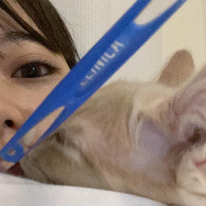 sarimaru(国木田さりまる)のインスタグラム：「I've been happy every day since you came.  I love my cat💭  おやすみなさい」