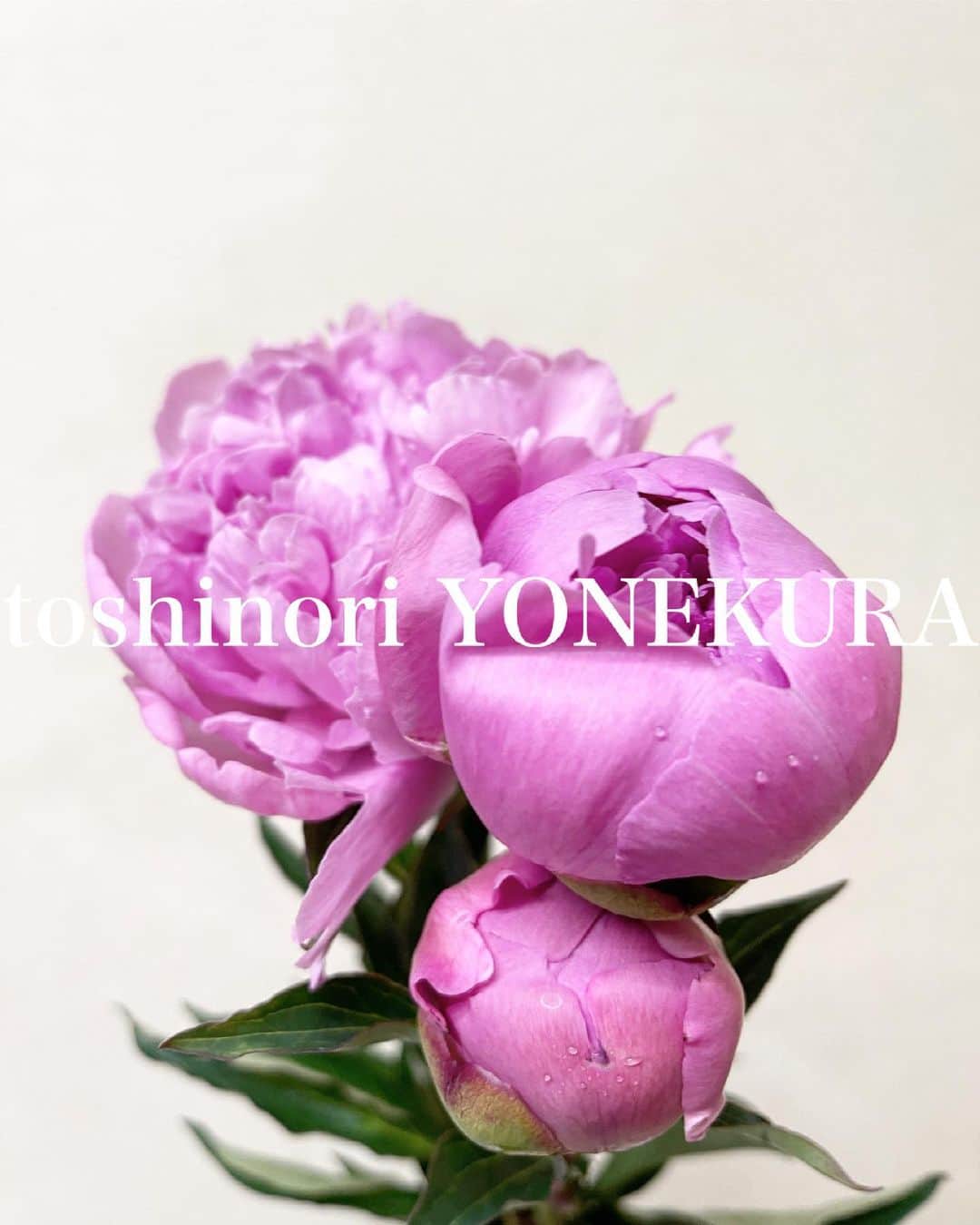 米倉利紀さんのインスタグラム写真 - (米倉利紀Instagram)「flowers of the day」5月9日 12時03分 - toshi_yonekura