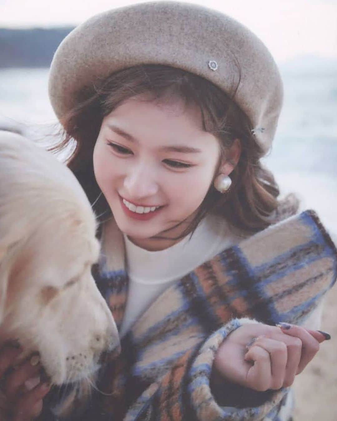 サナさんのインスタグラム写真 - (サナInstagram)「we love dogs 🤩  — : 🐿  ♩ #twice #sana #sanaminatozaki #minatozakisana #사나 #jyp #cryforme #moreandmore #nosananolife #yesiamsana #kpop   210503 ♪ |SCAN| SANA - Yes I’m SANA Photocard   [ © twitter: @/odanzxjys4 ]」5月9日 12時42分 - twicesana