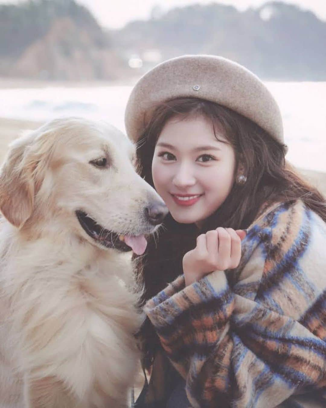 サナさんのインスタグラム写真 - (サナInstagram)「we love dogs 🤩  — : 🐿  ♩ #twice #sana #sanaminatozaki #minatozakisana #사나 #jyp #cryforme #moreandmore #nosananolife #yesiamsana #kpop   210503 ♪ |SCAN| SANA - Yes I’m SANA Photocard   [ © twitter: @/odanzxjys4 ]」5月9日 12時42分 - twicesana