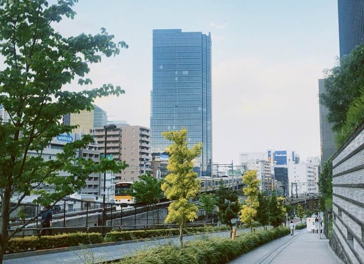 早希のインスタグラム：「今日は帰りに一駅分歩いたりして いいお散歩日和でした🚶‍♀️  もうすぐで夕日が見れそう…な時に撮った写真にあわせて  最近よく耳にする、あたらよさんの10月無口な君を忘れる、という曲を歌いました。  「こんなに痛いなら、知りたくなかったよ」 がとても切ない、、、。」