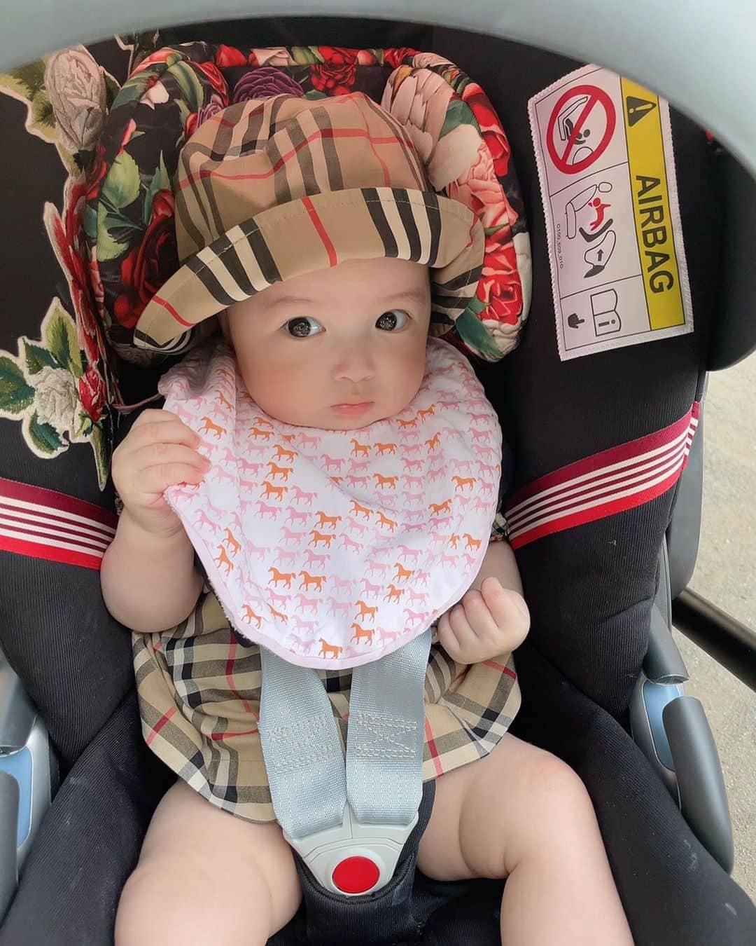 アレクサンダーのインスタグラム：「お兄ちゃんとお散歩中よ❤️ お兄ちゃん大好き❤」