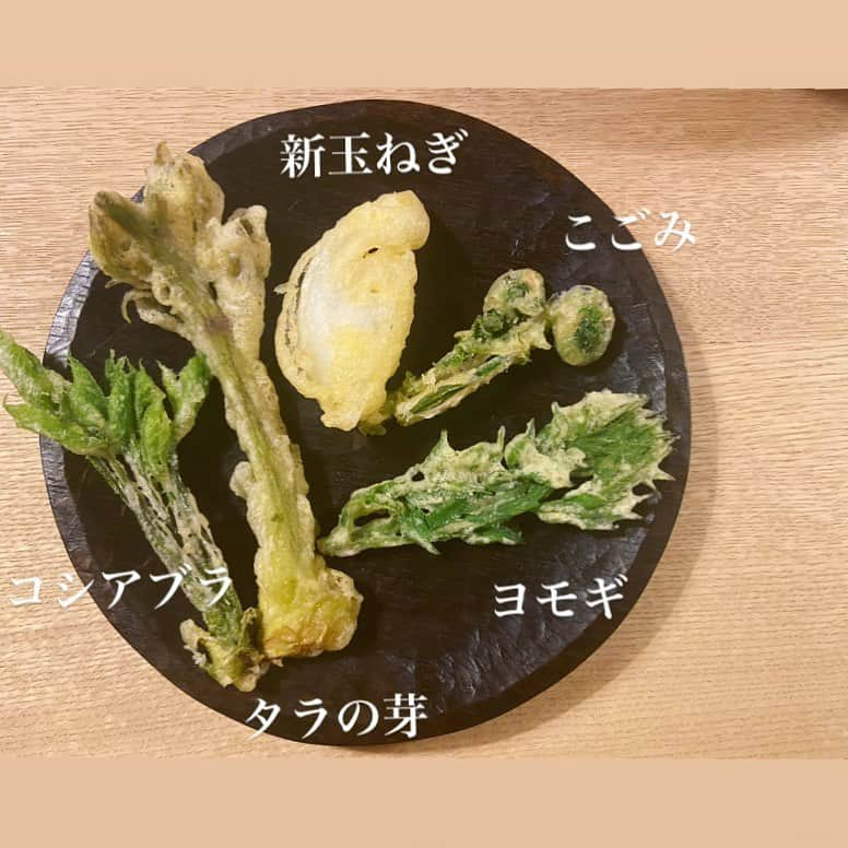 島津咲苗さんのインスタグラム写真 - (島津咲苗Instagram)「山菜の天ぷらをもらいました✨ 揚げ物だけど、まぁ葉っぱだし🤭と思って沢山食べてしまいました。美味しかった〜。  旬のものをふんだんに食べることほど 贅沢なことはないですね🌱 . . . #山菜 #天ぷら #春の味覚  #コシアブラ #新玉ねぎ #タラの芽 #よもぎ #こごみ #自然 #旬の食材 #おいしい」5月9日 16時22分 - sanae_shimazu