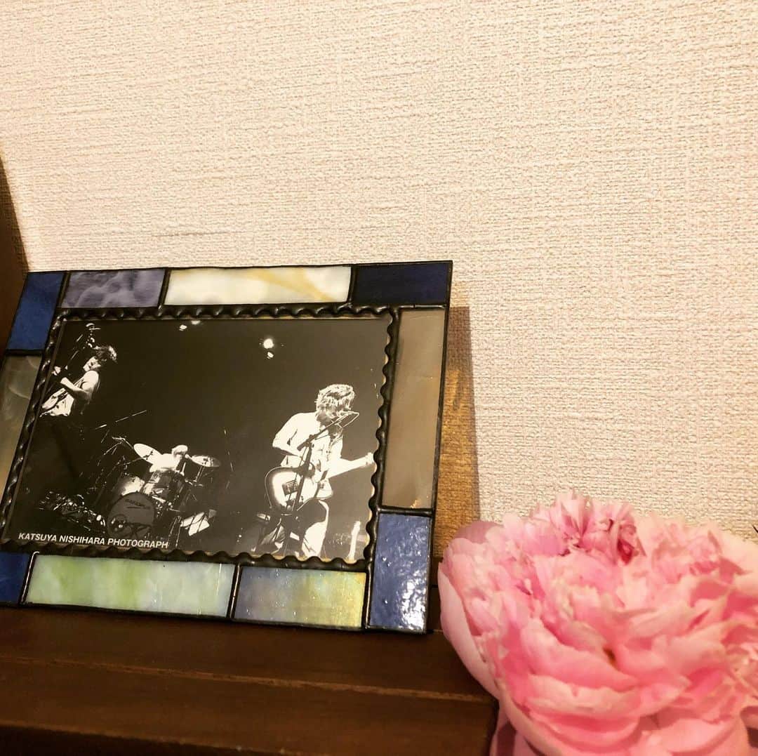 岡本奈穂子さんのインスタグラム写真 - (岡本奈穂子Instagram)「2021年5月9日 晴れ  今年も松山へ帰省は出来なかった。 誰かがお花を供えてくれていたとお姉さんから連絡があった。 お墓参りをしてくれた方、ありがとうございます。  昼間は外出していたので、晩御飯のカレーライスを食べながら、つばきタニンズを観た。 小高君が歌う曖昧な夜がとても良かった。 曽根さんが編集した2012年復帰ツアーの映像が懐かしかった。  松山へいつ帰省出来るのか分からないけど、白滝のうどん食べて椿神社へ行きたい。  今日は一日中快晴で気持ちが良かった。」5月9日 23時46分 - okamoto_tsubaki