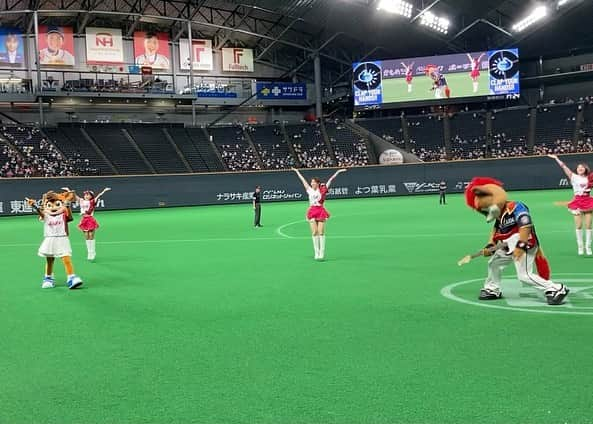 北海道日本ハムファイターズ フレップのインスタグラム