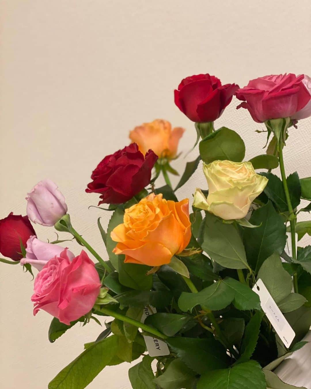 高城れにさんのインスタグラム写真 - (高城れにInstagram)「Happy Mother's Day💟 11本の薔薇を添えて🌹  まま、いつもありがとう😊💜 #母の日　#感謝　#ありがとう」5月9日 19時45分 - takagireni_official