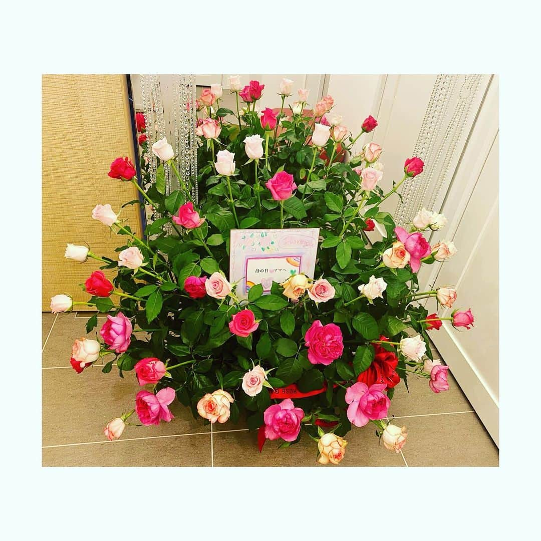 神田うのさんのインスタグラム写真 - (神田うのInstagram)「Happy Mother's Day❤️  I received a lot of beautiful pink roses from my daughter.🌹😍  #happymothersday#mothersday#母の日#beautifulroses#beautiful#roses#rose#美しい#薔薇#pinkroses#pinkrose#ピンクローズ#ピンクの薔薇#ローズギャラリー#rosegallery#unokanda#神田うの」5月9日 20時19分 - unokandaofficial