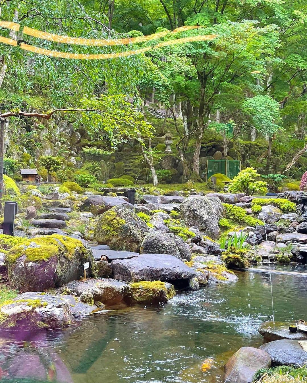 平山美春さんのインスタグラム写真 - (平山美春Instagram)「Feel the air of nature🍃🍃 お気に入りのGIVENCHYのニットガーデが最近活躍してる💗 . #japan #nature  #instatrip #instatravel  #travel #travelgram #traveljapan」5月9日 21時11分 - miharuhirayama
