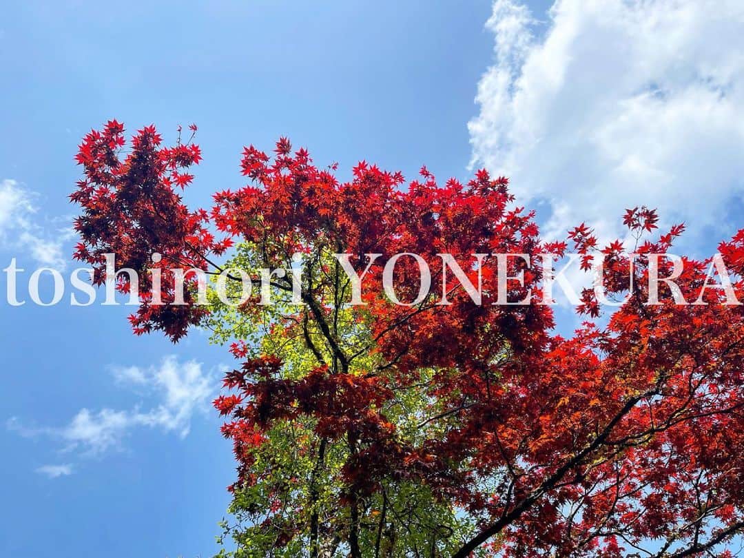 米倉利紀さんのインスタグラム写真 - (米倉利紀Instagram)「“mini green GIRAFFE” tour 2021 @ AOMORI」5月9日 21時12分 - toshi_yonekura