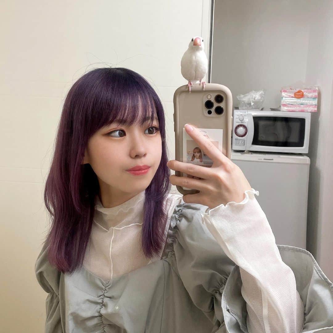 かすこんねぅのインスタグラム：「めちゃめちゃ可愛いヘアスタイルにしてもらっちゃったよ🥺🌟」