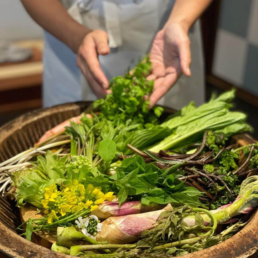 西岡剛のインスタグラム：「山菜を食べ尽くす🤩 発酵部屋には何種類もの作品がたくさん😱  #西岡剛」