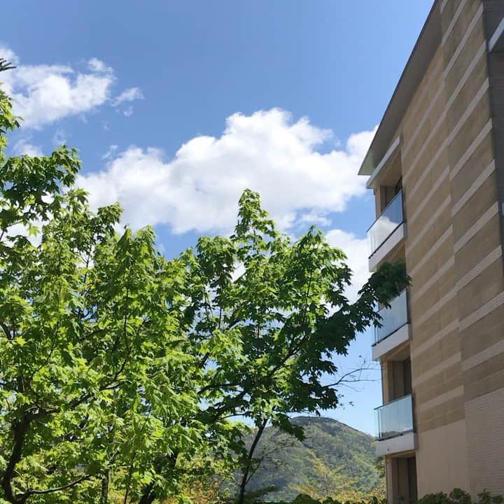 ハイアット リージェンシー 箱根 リゾート＆スパのインスタグラム：「晴れた日のハイアット箱根の朝の風景。まだ少しだけ肌寒い風が心地よく吹いています。 ⁣ ⁣ #hakone #箱根 #mountains #ホテル #リゾートホテル #日本 #japan #温泉#onsen #onsen♨️ #resort # luxury #hyattregencyhakone #ハイアットリージェンシー箱根 #hyatt #ハイアット #hyattregency #worldofhyatt #青空 #白い雲 #風 #自然」