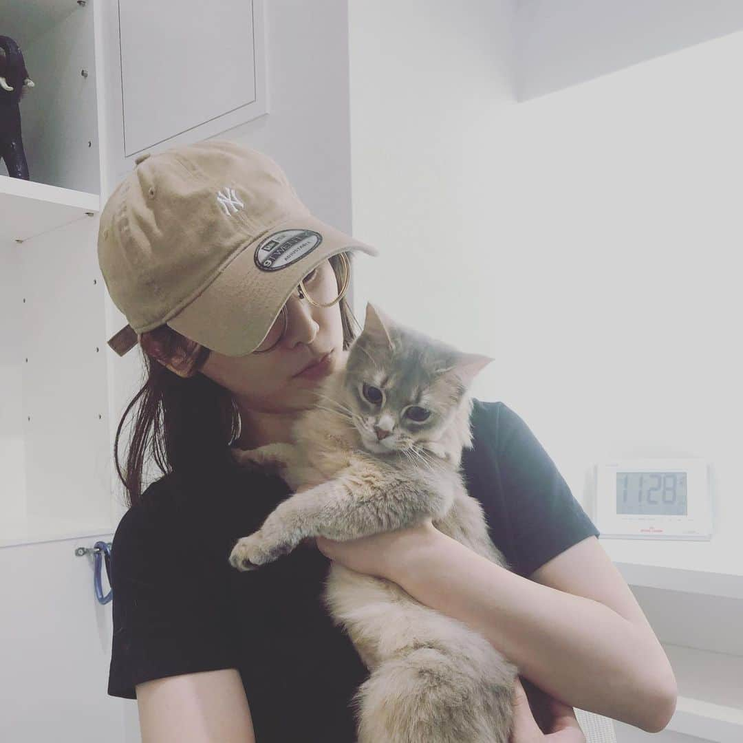 松井玲奈さんのインスタグラム写真 - (松井玲奈Instagram)「うちの子たちは2匹とも保護猫さん。 写真はルナちゃんに初めて会った日のもの。 人懐っこくて、甘えん坊。最近はパンが好きで、私が食べているとギラギラした目と鳴き声で隙を狙っています。」5月10日 12時53分 - renamatui27