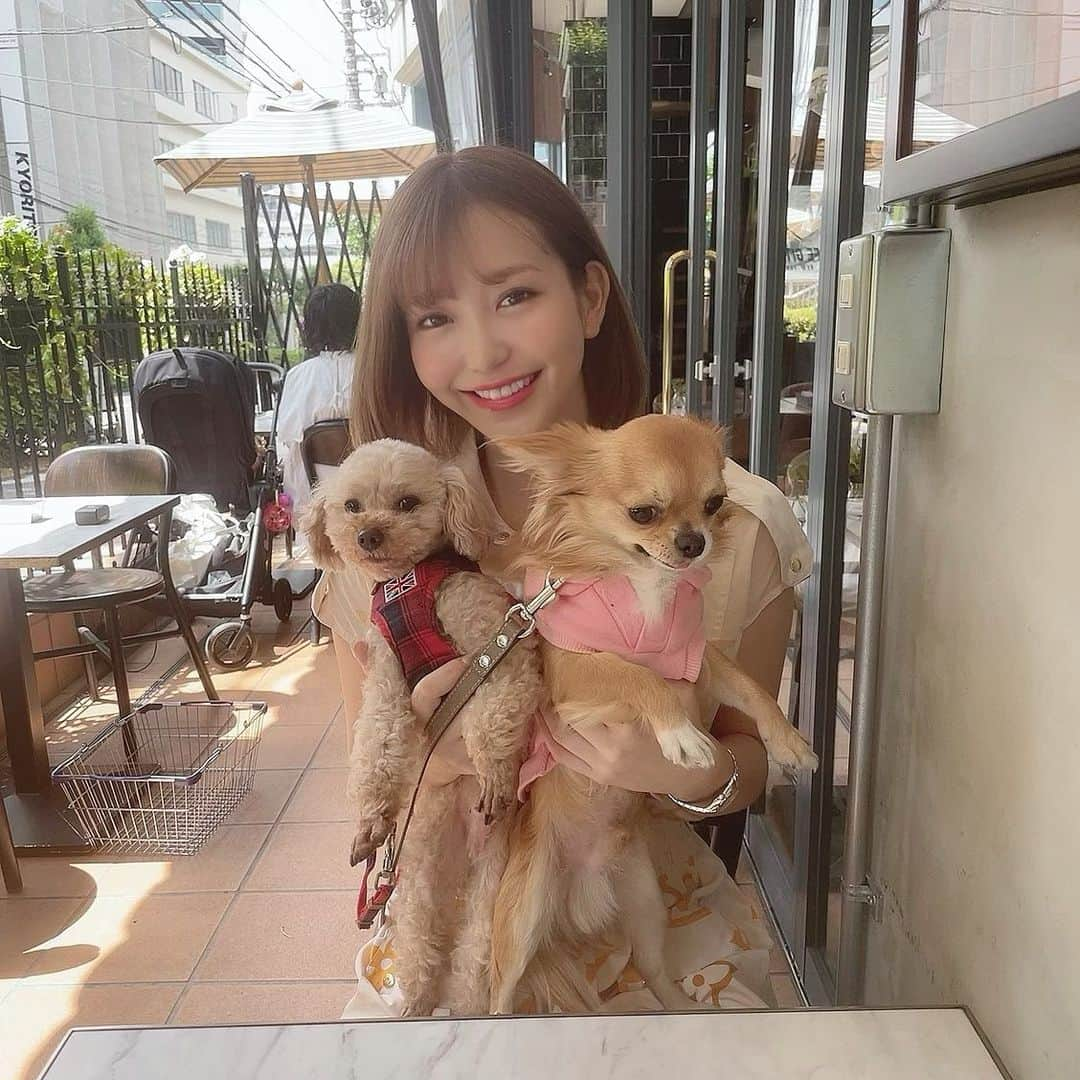 COCOさんのインスタグラム写真 - (COCOInstagram)「brunch 🍽💕  #brunchtime #brunch🍴 #cafegitane #cafestagram #cafegitanetokyo #ebisu #犬カフェ #dogcafe」5月10日 15時11分 - coco_coco000