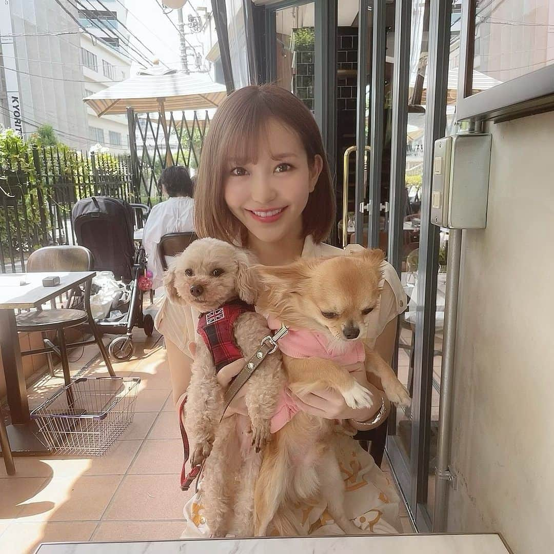 COCOさんのインスタグラム写真 - (COCOInstagram)「brunch 🍽💕  #brunchtime #brunch🍴 #cafegitane #cafestagram #cafegitanetokyo #ebisu #犬カフェ #dogcafe」5月10日 15時11分 - coco_coco000