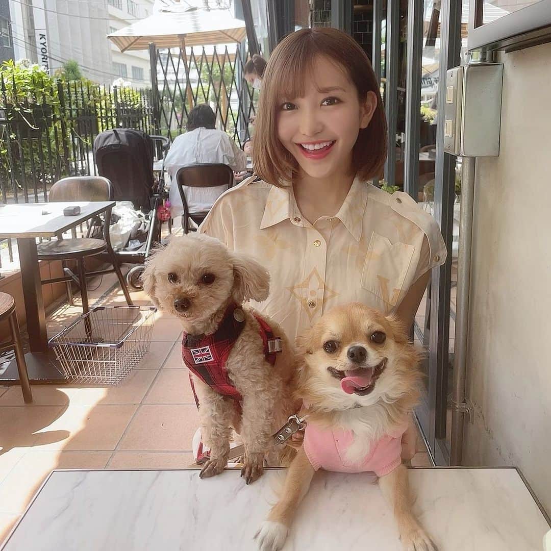 COCOのグルメインスタ