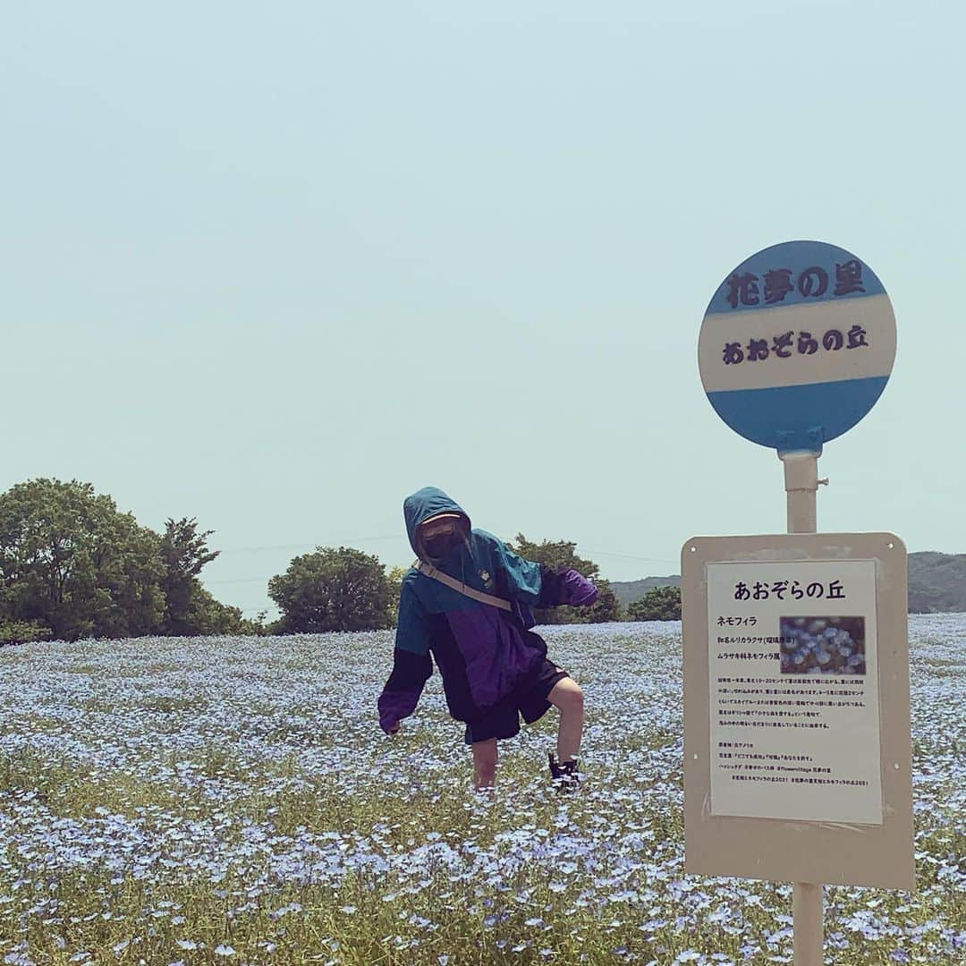 まあたそさんのインスタグラム写真 - (まあたそInstagram)「脳内も光景もお花畑🌼 お洒落に加工しようと思ったけど面倒臭いからそのまま載せちゃうぞスペシャル🤞」5月10日 18時45分 - 5m91r