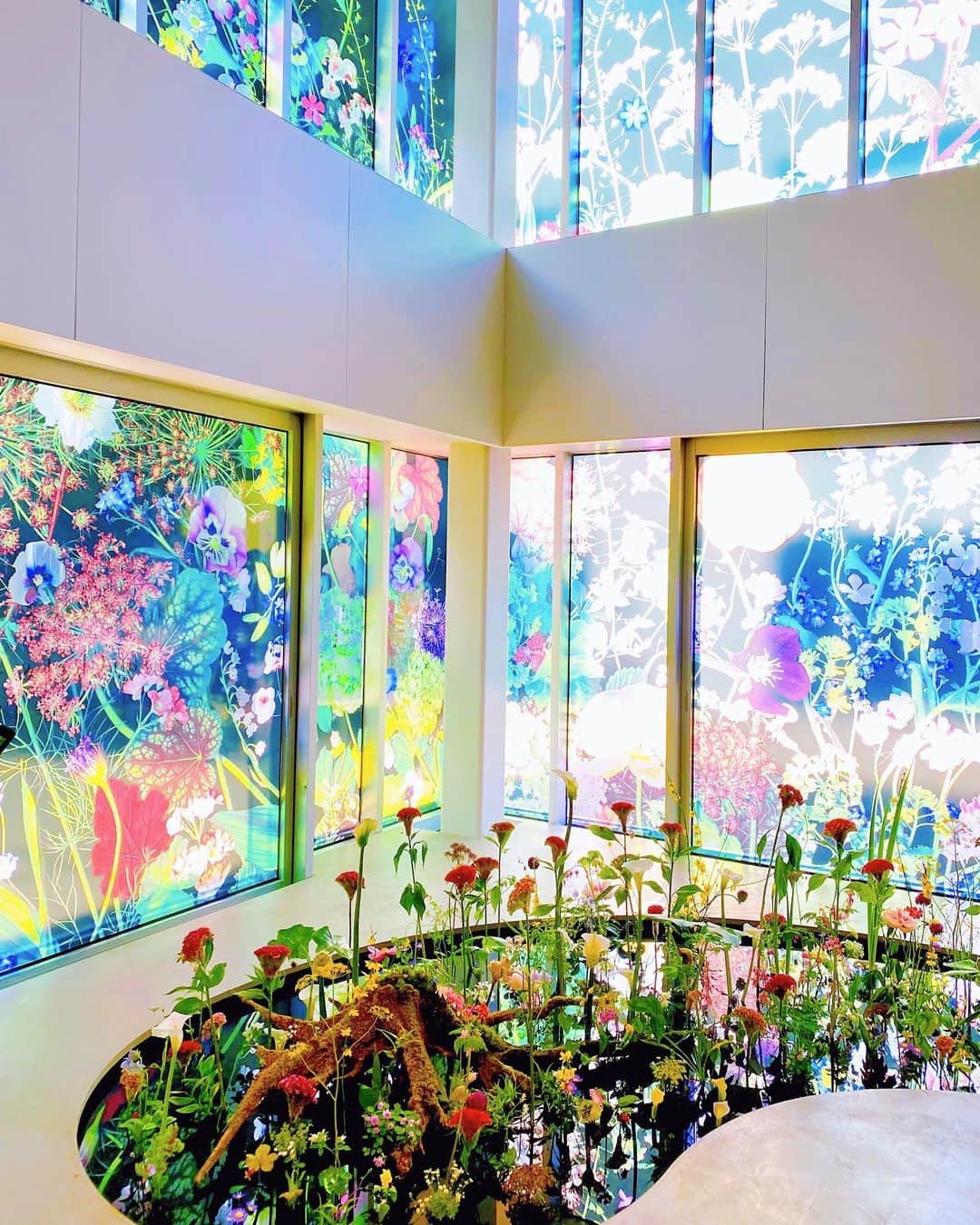 さわいえりのグルメインスタ