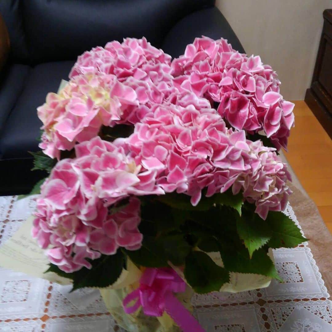 くわばたりえさんのインスタグラム写真 - (くわばたりえInstagram)「母の日に送ったピンクの紫陽花です。 ってか、昨日かなり酔ってたなワテ… いきなりライブ配信に、集まってくれて本当にありがとうございました😭 また　いきなりパターンやりますね♪  #くわばたりえ  #紫陽花  #ベロ　ベロ美」5月10日 20時40分 - kuwabatarie