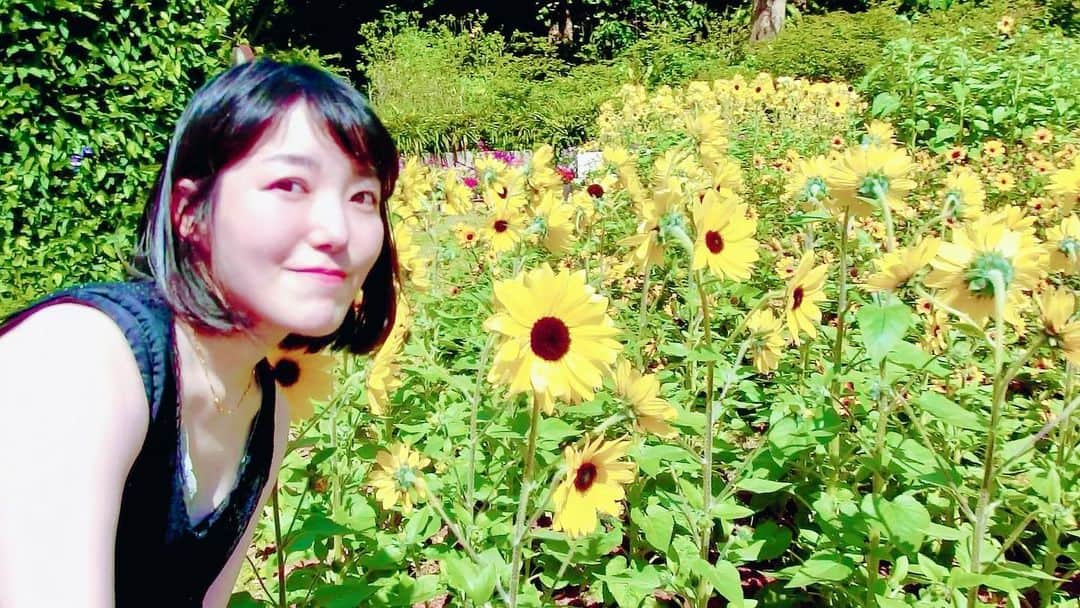 すずきあすかさんのインスタグラム写真 - (すずきあすかInstagram)「今年初のひまわり鑑賞🌻❤️ 沖縄はすっかり初夏✨  #沖縄 #沖縄旅行 #沖縄県 #熱帯ドリームセンター #花 #flowers #okinawajapan #japan #ひまわり #sunflower #向日葵 #あすにゃん旅行」5月11日 12時21分 - suzukiasukadesu