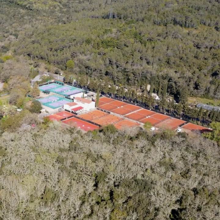 ジョー＝ウィルフリード・ツォンガのインスタグラム：「Welcome to the @allin_tennis_academy 😇」