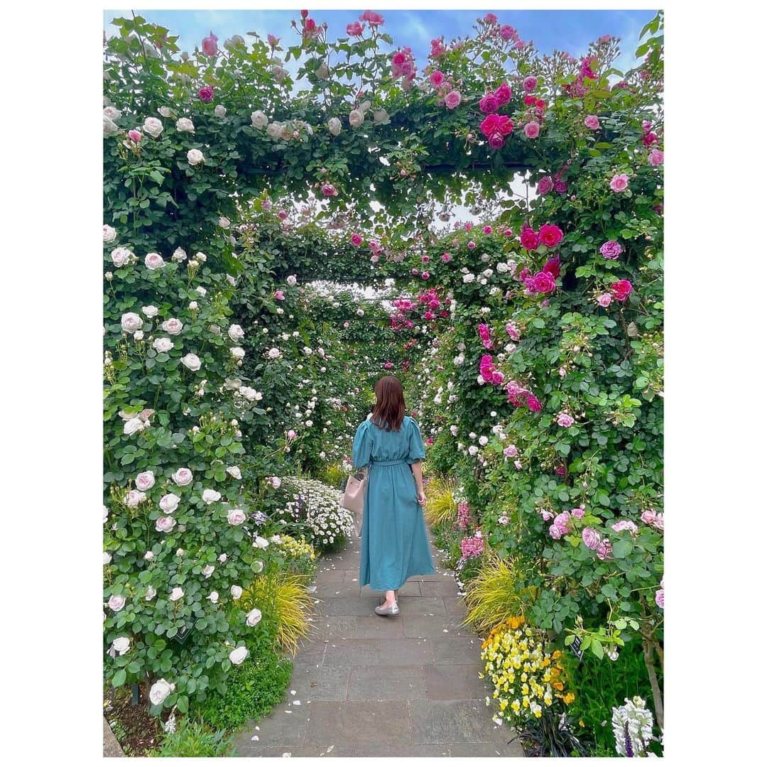 松永杏奈のインスタグラム：「港の見える丘公園久しぶりに行った💐🌷素敵だった😌 . . . . . . . #港の見える丘公園 #バラ園 #ローズガーデン #横浜」