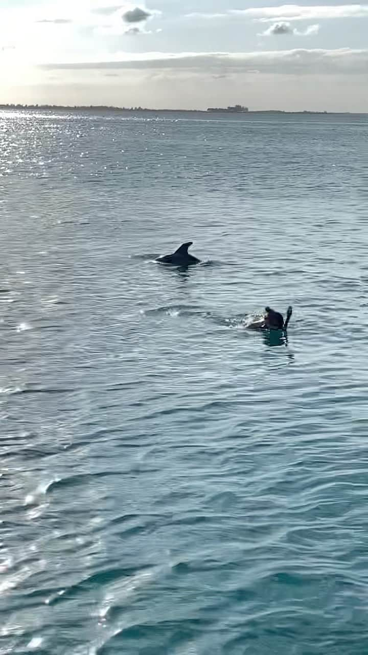 レイチェル・ヒルバートのインスタグラム：「I started crying after this. Dolphins are my absolute favorite animal on the planet.」