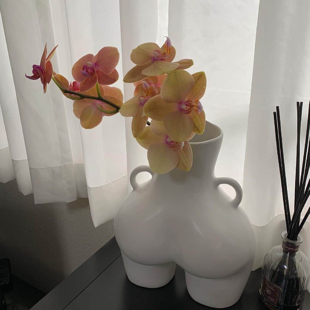 ayu kagawaさんのインスタグラム写真 - (ayu kagawaInstagram)「雨だけど気分を上げる為に自分用にも買ったお花♡ 🦋みたいで可愛い。 #rainyday #flower #anissakermiche」5月12日 16時26分 - ayuyunyun