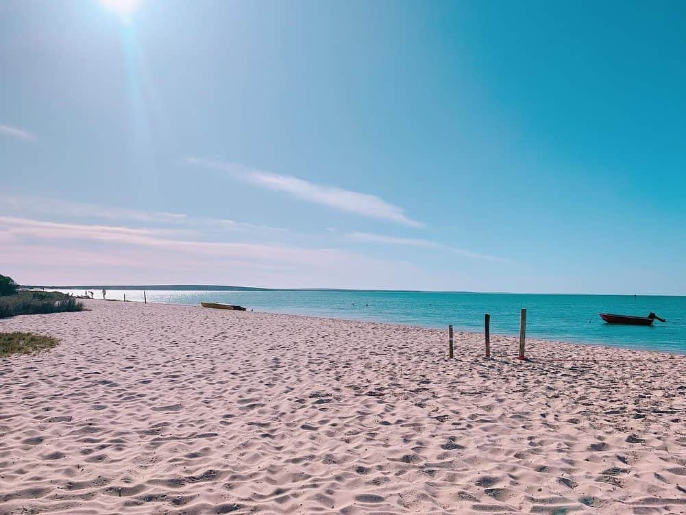 朝日放送「朝だ！生です旅サラダ」さんのインスタグラム写真 - (朝日放送「朝だ！生です旅サラダ」Instagram)「@ennayamashiro  国立公園の入り口にある人気のホテル、#モンキーマイアドルフィンリゾート 🏨🐬 ヴィラの目の前はビーチ、そして敷地内にはプールやテニスコート、開放的なレストランがあり、リゾート気分を楽しむことができます🏖✳︎ 何より、こちらのホテルの醍醐味はそれだけではありません‥‥😉✳︎(つづく) _ #RAC Monkey Mia Dolphin Resort #リゾートホテル #目の前がビーチ #シャークベイ #SharkBay #世界遺産 #西オーストラリア #Australia #オーストラリア #世界でひとつのオーストラリアマップ _ #ABCテレビ #朝日放送テレビ #朝だ生です旅サラダ #旅サラダ #旅サラダガールズ #山代エンナ #イラストレーター #海外 #旅 #travel #trip」5月12日 11時57分 - tabisalad