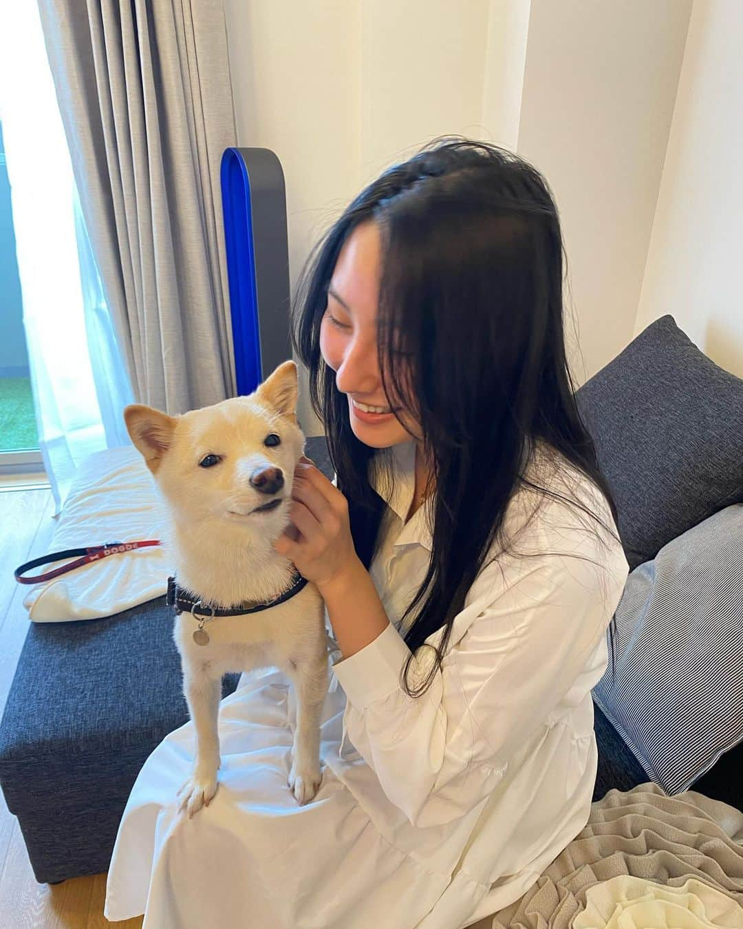 里彩のインスタグラム：「🥺🐕🇯🇵 日本の宝よ〜こんなに可愛い子🥰 お友達のワンちゃんです！可愛すぎるのでフォローして癒されて🥺🥺😌🐕  #いつの日かの写真 #豆柴 #かわいすぎてごめん 💗」