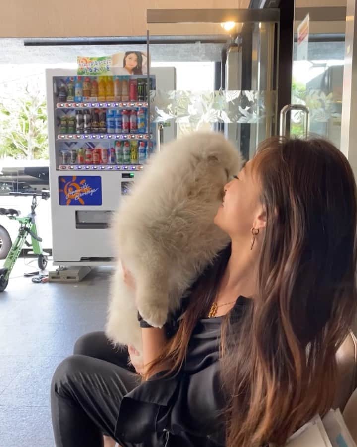 世礼奈のインスタグラム：「☼☁︎ なんか写真撮る時も撮ってもらう時も カメラ意識して決めてポーズ取ったり 撮られるって分かってて構えるよりも  そんなの関係なしに 自然と微笑ましくなる瞬間を そのまま撮ってもらった方が やっぱ自然で好きだな ◟́◞̀ ✽  作られた不自然なものよりナチュラルが好き 𓆫 #便利な世の中に身を任せて腐るなよ！？  こーゆー自然と微笑ましい瞬間を タイミングよく🤳撮れる人って 中々いないんだけどね😂w  微笑ましくホッコリする瞬間を 撮れる人は波長が良い証拠 ◟̆◞̆ ✩ #GoodVibesOnly #バイブス高め  ┈ ┈ ┈ ┈ ┈ ✂︎ ┈ ┈ ┈ ┈ ┈  📱iPhone の 📷カメラ アプリ機能 「#LivePhoto（#ライブフォト）」 🤳で、撮影してもらった写真  ※シャッター音が「カシャッ」 じゃなくて「ピコッ」に変わるやつ。  カメラロールに格納されている Live Photos 一覧表示から 選択した Live Photos を 上に向かってスワイプすると、 エフェクト欄が現れて  #ループ（繰り返し再生） #バウンス（再生と逆再生の繰り返し） #長時間露光（全てのコマを1枚の静止画に合成） ☟ 設定したエフェクトが画面左上に表示  ┈ ┈ ┈ ┈ ┈ ✂︎ ┈ ┈ ┈ ┈ ┈  #iPhoneで画面録画 する手順 ⚙︎「設定」アプリで 　コントロールセンター コントロールをカスタマイズ と進んで  画面収録の項目にある＋をタップ すると、コントロールセンターに 「画面収録」ボタンが追加されます。  録画したい画面で コントロールセンターを表示 させる録画ボタンをタップする （録画ボタンを長押しすると 　　　外部音声も取り込める）  んで、カメラロールから 編集したい動画を選んで 動画の再生時間を調節して トリミング出来るよ ✌︎ ◟̑◞̑   ┈ ┈ ┈ ┈ ┈ ✂︎ ┈ ┈ ┈ ┈ ┈  #KojiroGardenia #コジローガーデニア #SamoyedDog #サモエド犬 #AzabuGardenia #麻布ガーデニア #ShareHouse #シェアハウス  #Roppongi #六本木 #AzabuJuban #麻布十番 #SamoyedDogKojiro #サモエド犬コジロー #ワンちゃんのいる生活 #犬のいる暮らし #SereMv」