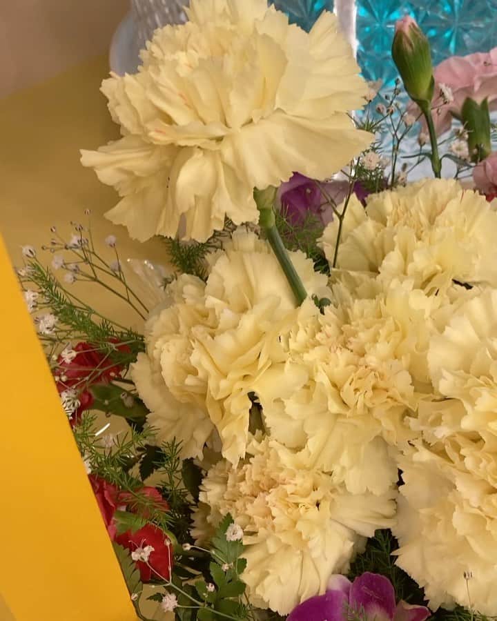 空道太朗のインスタグラム：「. 奈良テレビ「ゆうドキ！」 見て下さった皆さんありがとうございました！ 　 奈良クイズのヒントのコーナーに全パワー注いでます！ 　 今日の僕の後ろにあった花は、 よく見るとプードルでした。 #フラワープードル」