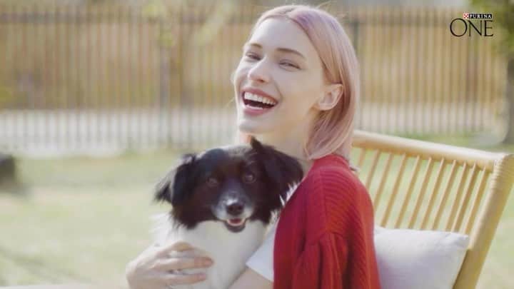 ステファニー・ミチョヴァのインスタグラム：「꼬미 톱모델 🐶 Ggomi our Topmodel 🥰❤️ @purina_kr」