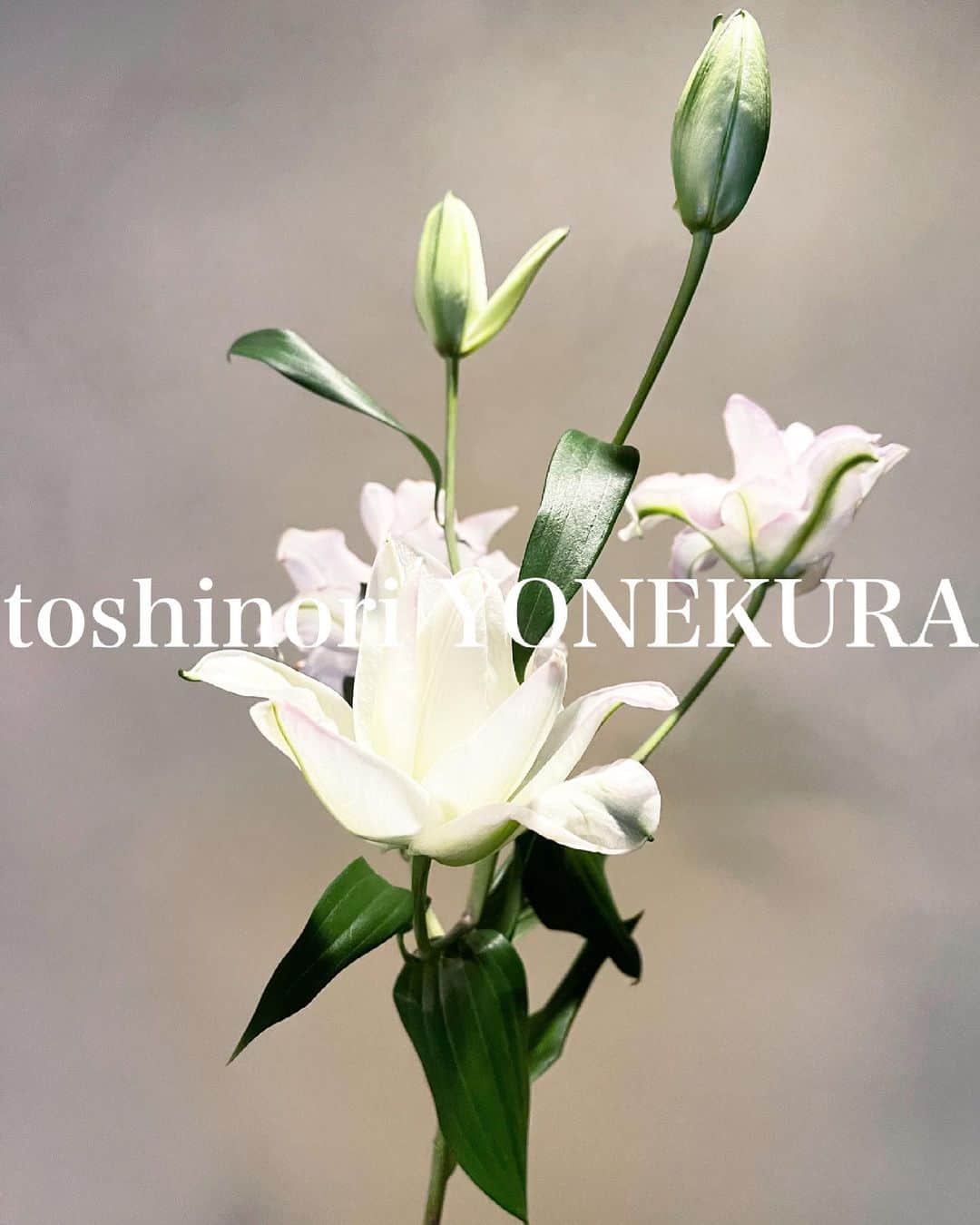 米倉利紀さんのインスタグラム写真 - (米倉利紀Instagram)「flowers of this week #男花 #花のある生活」5月12日 21時01分 - toshi_yonekura