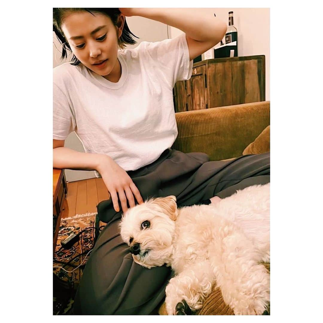 高畑充希さんのインスタグラム写真 - (高畑充希Instagram)「酔っぱらいはおとなしく、 お犬様の椅子になります。  （たまにはベッドにもなります）」5月12日 23時17分 - mitsuki_takahata