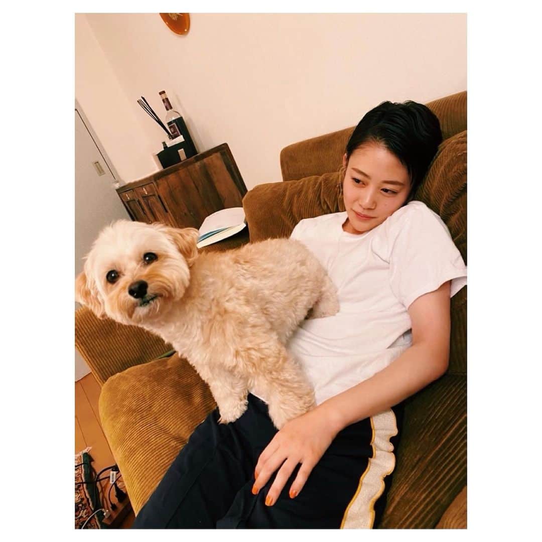 高畑充希さんのインスタグラム写真 - (高畑充希Instagram)「酔っぱらいはおとなしく、 お犬様の椅子になります。  （たまにはベッドにもなります）」5月12日 23時17分 - mitsuki_takahata