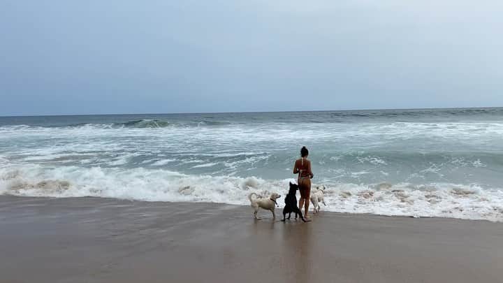 ジャッキー・クルーズのインスタグラム：「Picasso, Modigliani, Priscilla, y Bella 😇 son mi vida. 🐕 🐕 🐕」